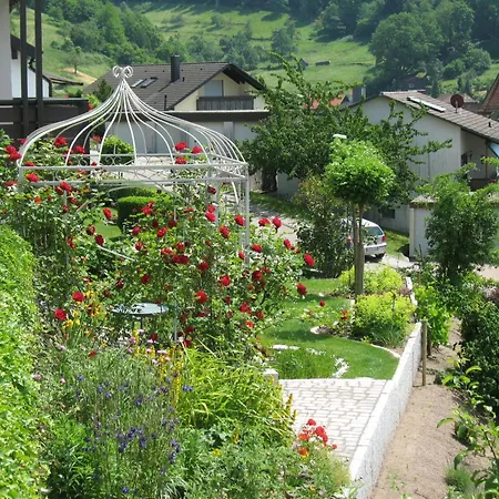 Apartment Belvedere